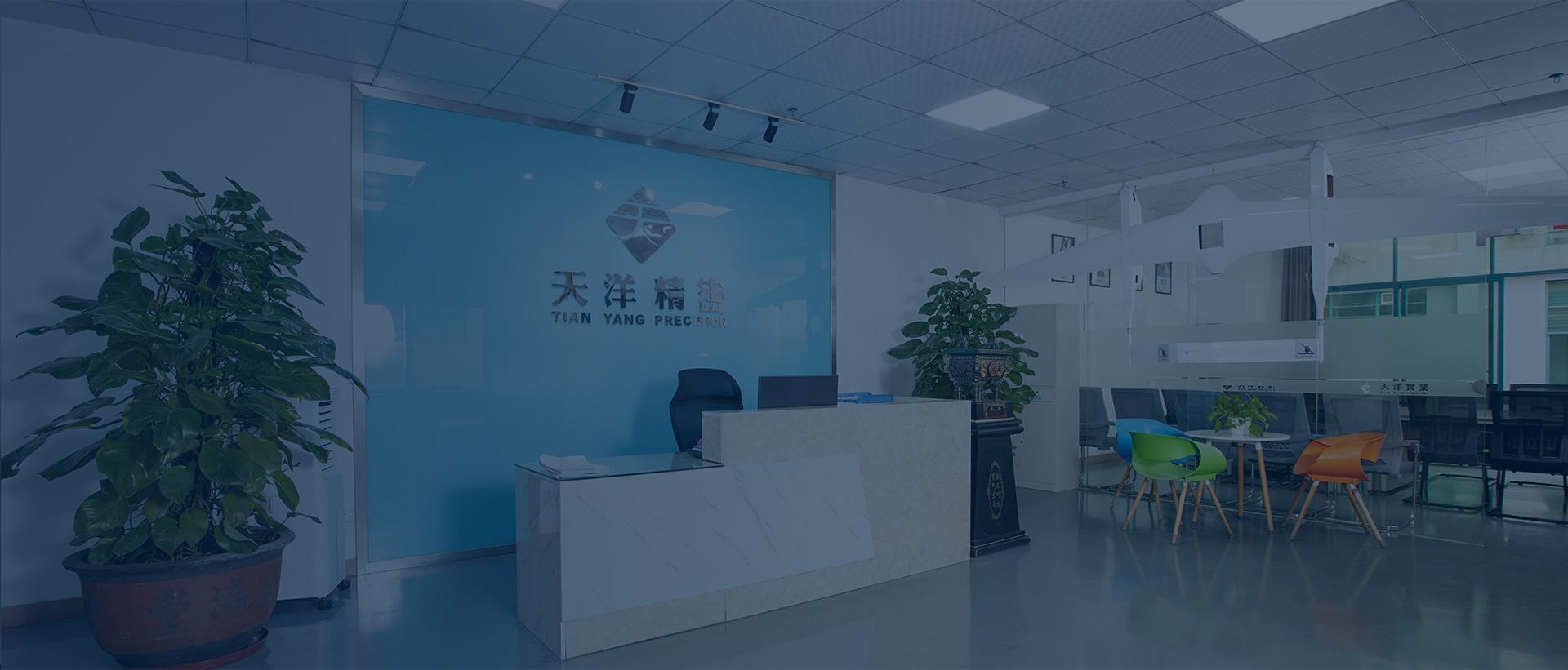 Company Profile